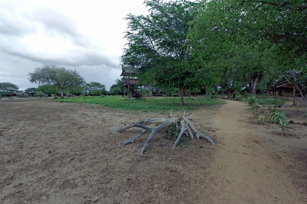 Kenia (400).jpg